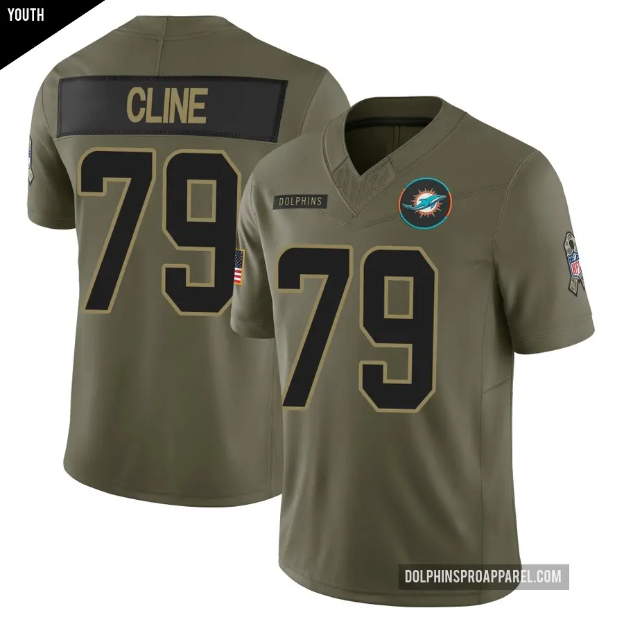 Youth Miami Dolphins ＃79 Kevin Cline Olive Limited 2025 Salute to Service Jersey